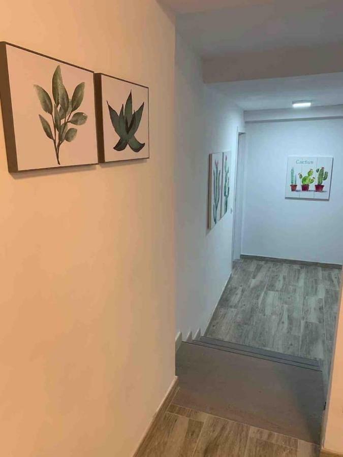 Casa Hana Διαμέρισμα Mogán Εξωτερικό φωτογραφία